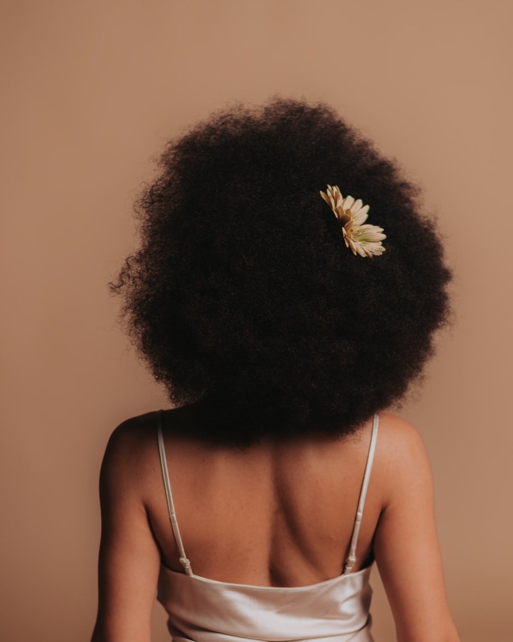 Haircare Finder